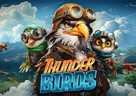 Thunder Birds game screenshot